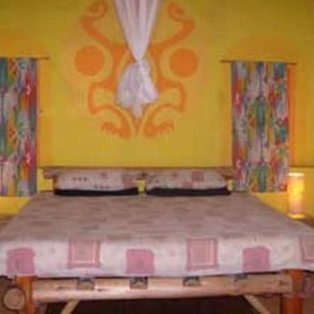 Amapondo Backpacker Lodge Port Saint Johnʼs エクステリア 写真