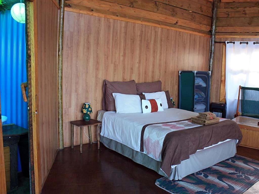 Amapondo Backpacker Lodge Port Saint Johnʼs 部屋 写真