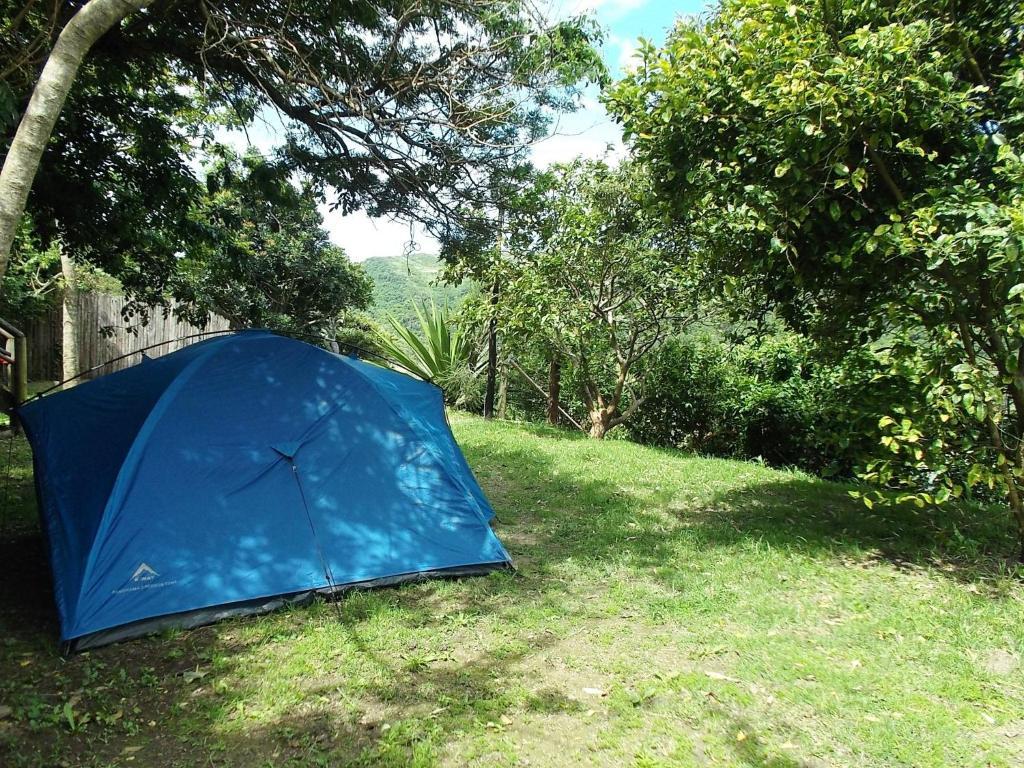 Amapondo Backpacker Lodge Port Saint Johnʼs エクステリア 写真